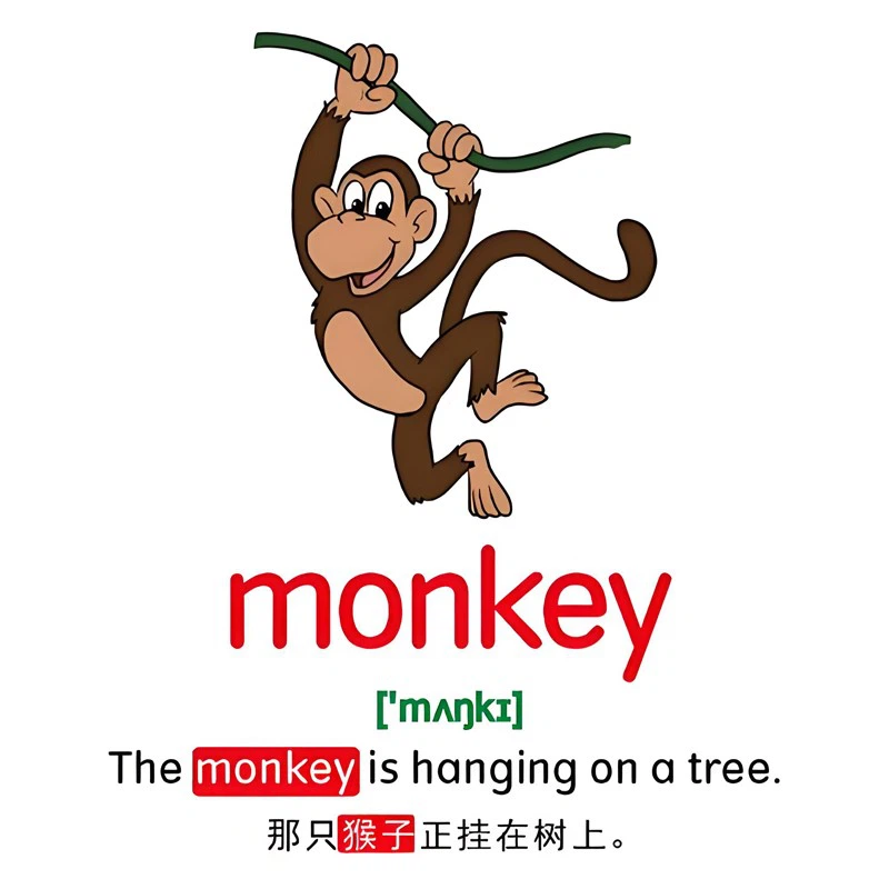 news-1-1 Animal Flashcards